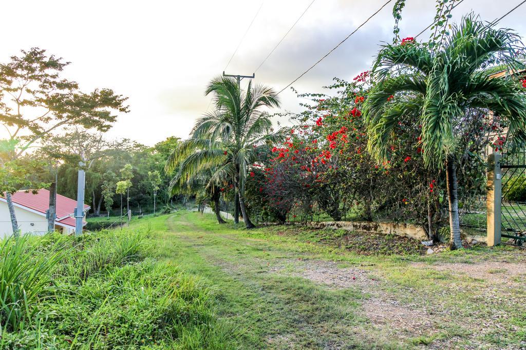 Villa Maya San Ignacio Extérieur photo